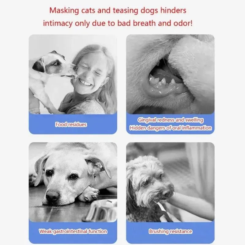 500ml/17ft Dental Care Dog Probiotic Mouthwash Plaques Remover Tartar Reducer Dental Health Water Additive Pet Supplies