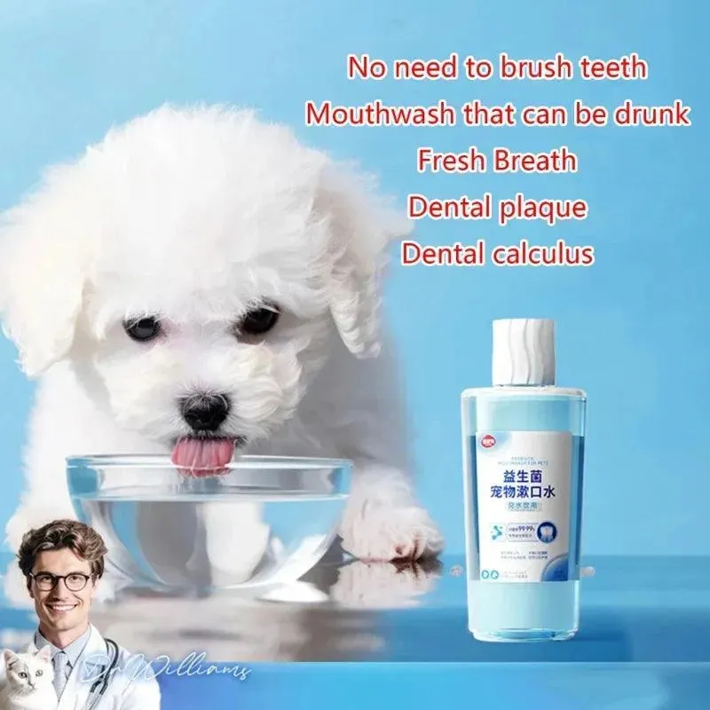 500ml/17ft Dental Care Dog Probiotic Mouthwash Plaques Remover Tartar Reducer Dental Health Water Additive Pet Supplies
