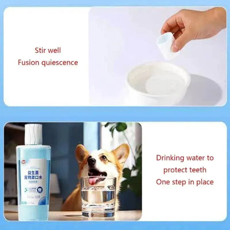 500ml/17ft Dental Care Dog Probiotic Mouthwash Plaques Remover Tartar Reducer Dental Health Water Additive Pet Supplies