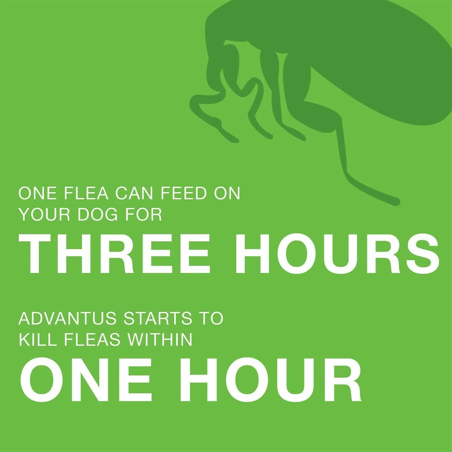Advantus Flea Oral Treatment (23-110 lbs)