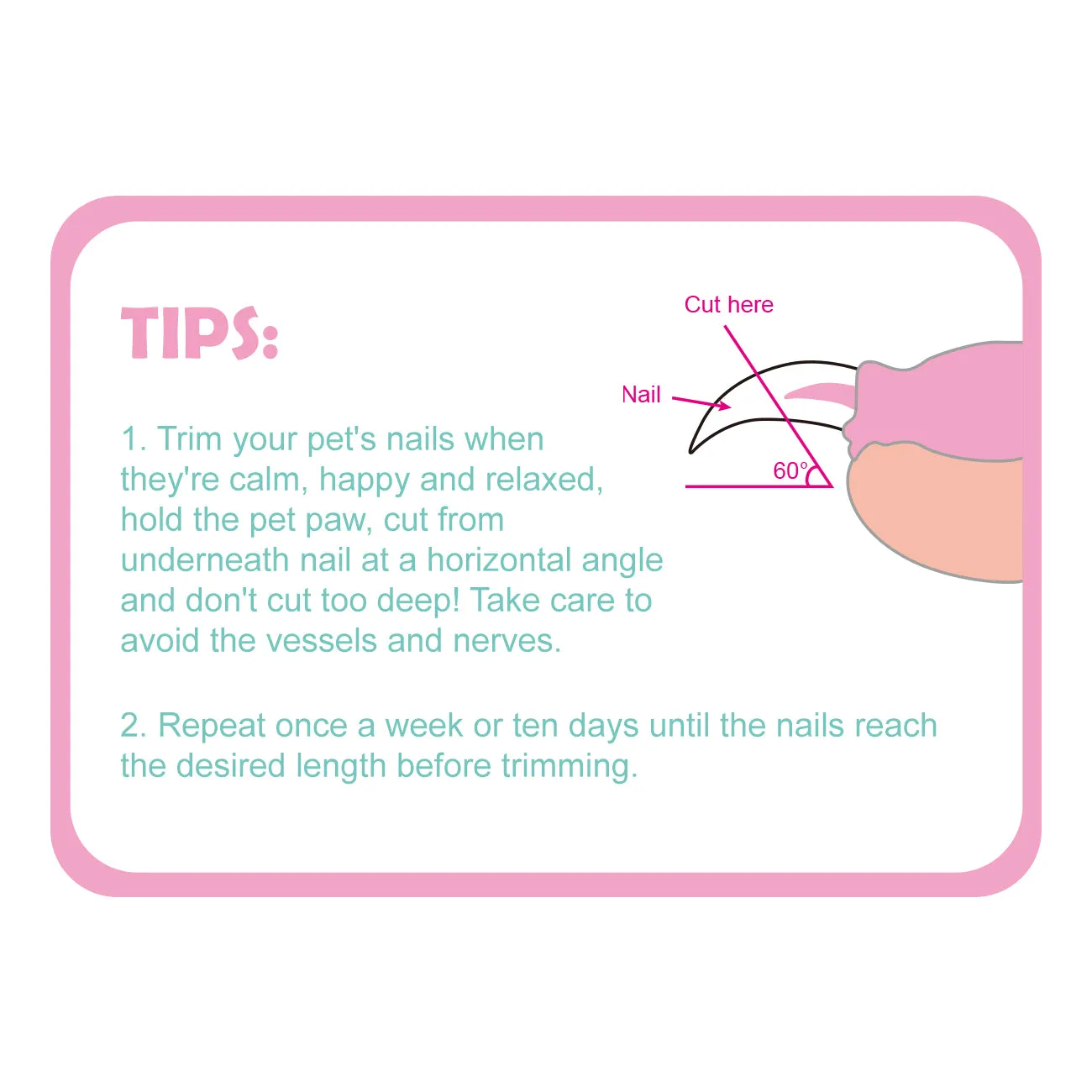 Aimondow Cat Nail Clippers Cat Claw Trimmer for Pet Grooming Tool Easy Cutting Cat Claw Clippers Dog Nail Clippers Angled Blade Sharp Claw Scissors for Small Animals Rabbit Puppy Kitten