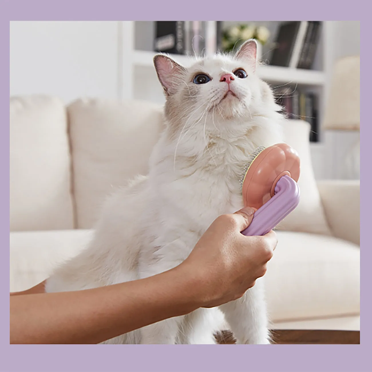 Aimondow Pet Self-Cleaning Slicker Brush Dogs Cats Grooming Brush Cat Shedding Tools Gently Removes Loose Undercoat Massage Brush for Dog Puppy Short or Long Haired