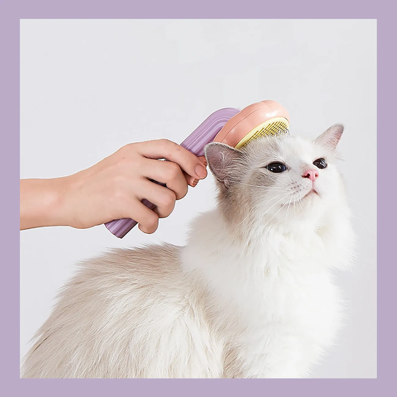 Aimondow Pet Self-Cleaning Slicker Brush Dogs Cats Grooming Brush Cat Shedding Tools Gently Removes Loose Undercoat Massage Brush for Dog Puppy Short or Long Haired