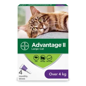 Bayer/Elanco - Advantage II - Topical Flea Treatment for Cats (For Cats Over 4kg)