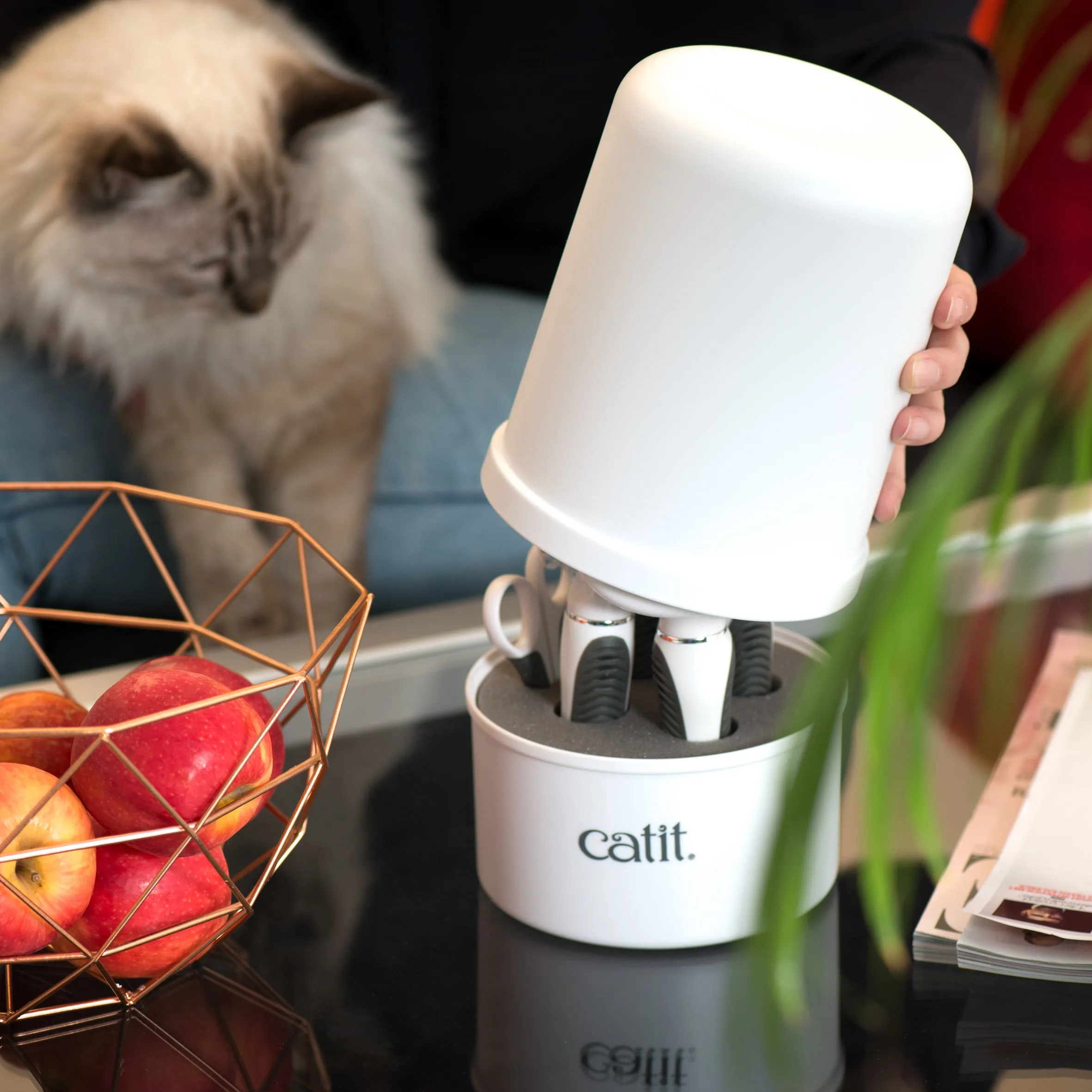 Catit® Longhair Cat Grooming Kit