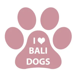 DONATE | DOG FOOD for I LOVE BALI DOGS for 1 week