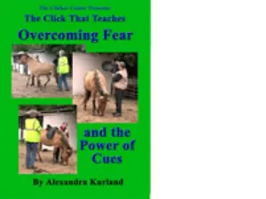 DVD: Lesson 9: Overcoming Fear and the Power of Cues Now an On-line Mini Course
