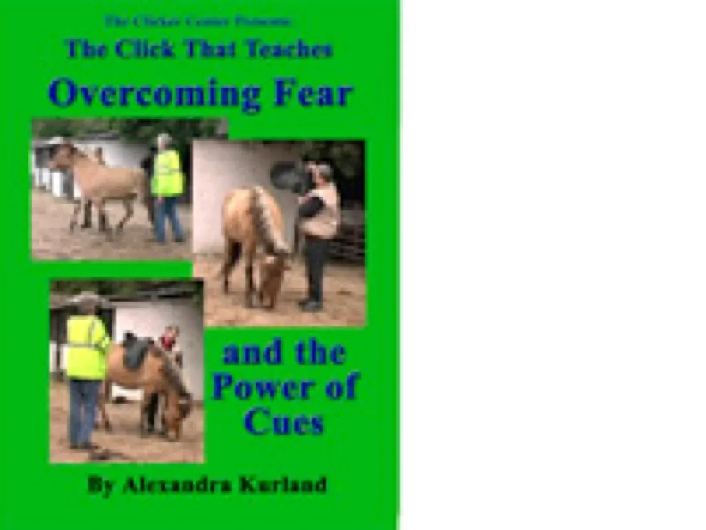 DVD: Lesson 9: Overcoming Fear and the Power of Cues Now an On-line Mini Course