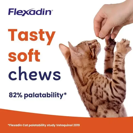 Flexadin Joint Support Supplement Chews for Cats