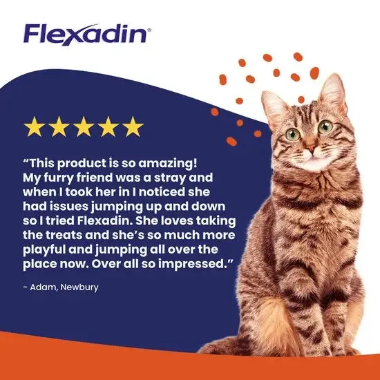 Flexadin Joint Support Supplement Chews for Cats