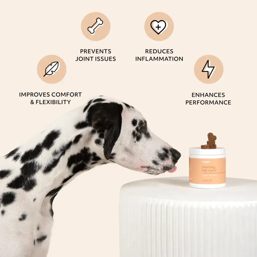 Hip & Joint Soft Chews For Dogs - Mobility Supplement MSM