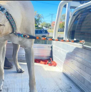 Ute Restraints for dogs